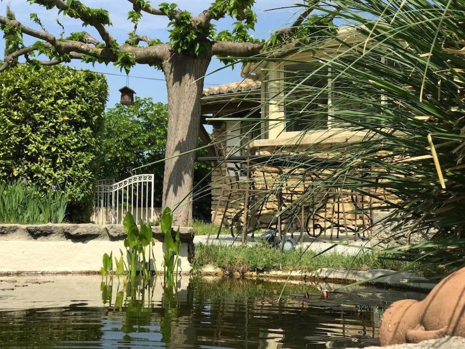 Mas Des Anges - Bastide De 5 Chambres Avec Piscine Entrechaux Exterior foto
